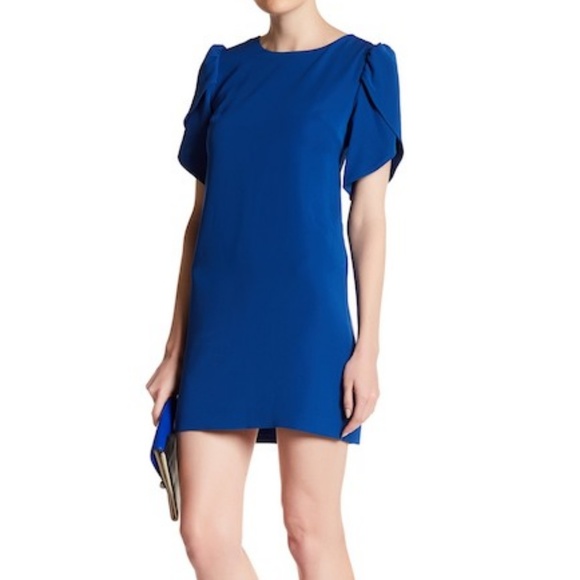 Cynthia Steffe Dresses & Skirts - Cynthia Steffe Tulip Dress